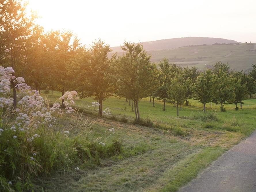 Landhotel Graf Obereggenen Dış mekan fotoğraf